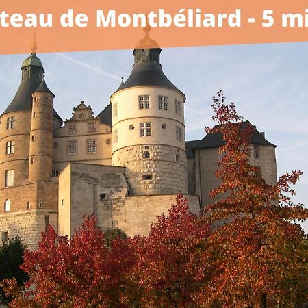Appart'Hôtel - l'île en mouvement Montbéliard Exterior foto